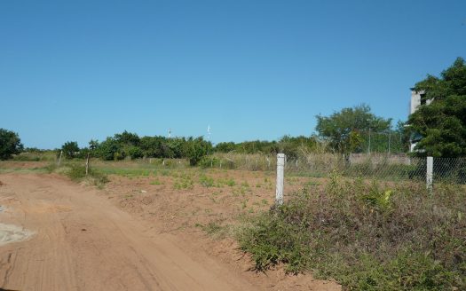 lote 27