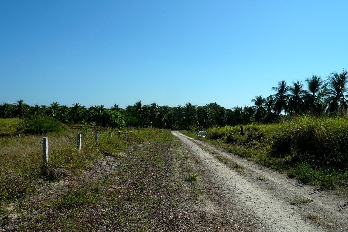 Lot for Sale in El Tomatal de 5230 Sq ft/ Puerto Escondido Real