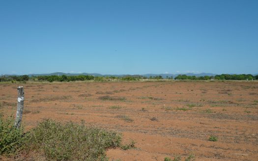 Lote Puertecito