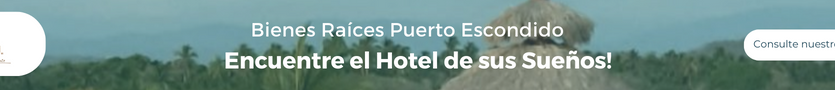 Encuentre el hotel de sus suenos en Puerto Escondido