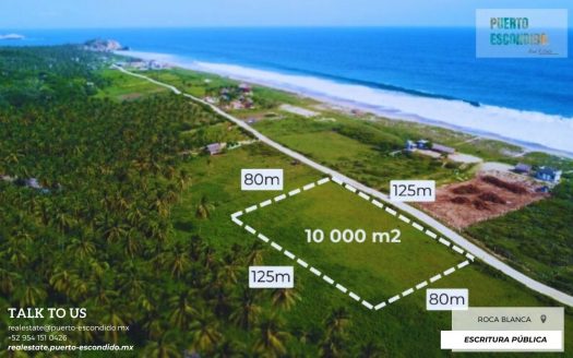 1 Hectare Lot a few steps from the beach, El Venado (Roca Blanca)