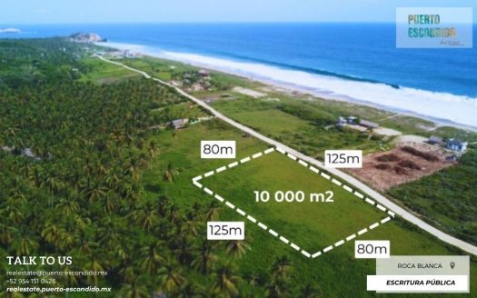 Lote de 1 Hectárea a unos pasos de la playa, El Venado (Roca Blanca)