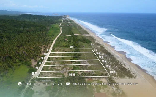 1 Hectare Beachfront Lot in El Venado Roca Blanca for sale