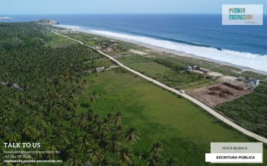 Lote de 1 Hectárea a unos pasos de la playa, El Venado (Roca Blanca)