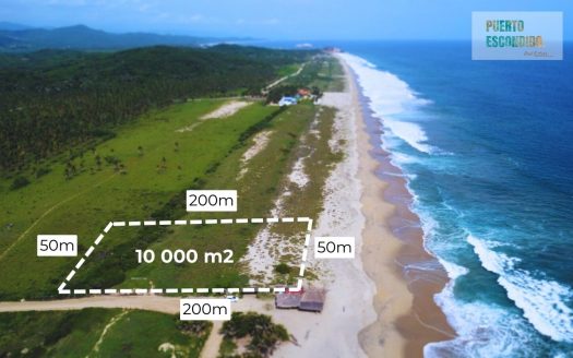 1 Beachfront Hectare lot in El Venado/Roca Blanca