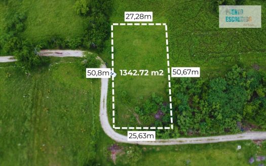 1242m2 en Palmarito a buen precio