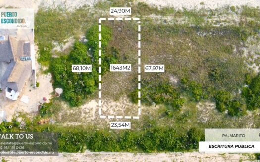 Lote Residencial en Palmarito