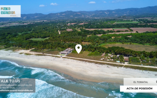 Expansive Beachfront Property