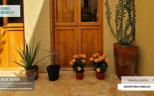 Increíble Studio en el Corazón de Oaxaca