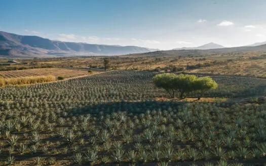 oaxaca expat property guide