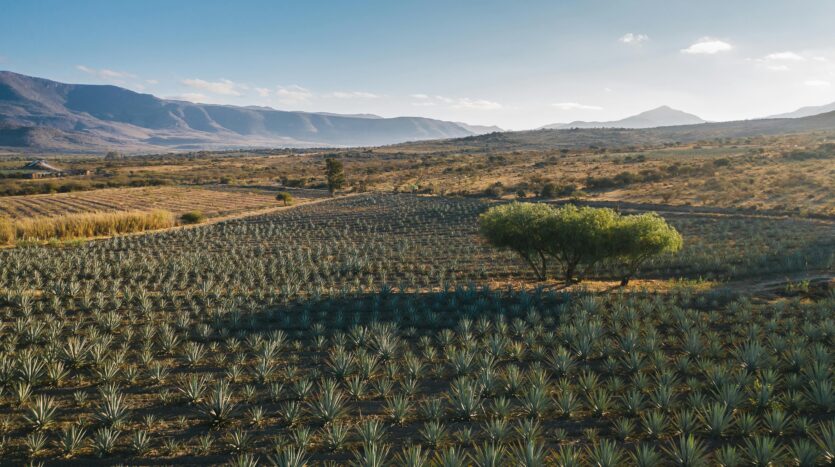 oaxaca expat property guide