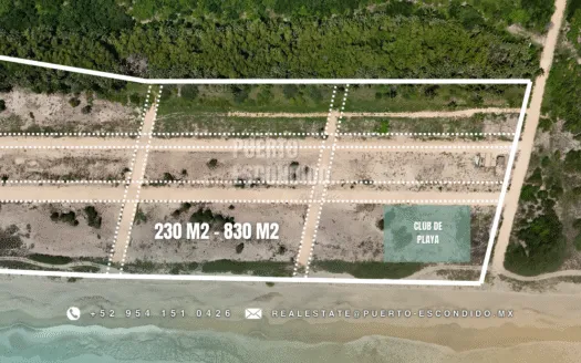 Exclusive Palmarito Coastal Lots