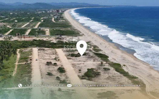 Exclusive Palmarito Coastal Lots