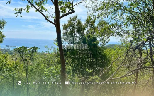 Terreno con Vista al Mar en Mazunte