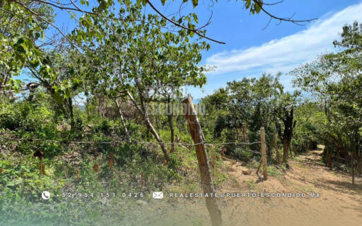 Ocean View Land Mazunte