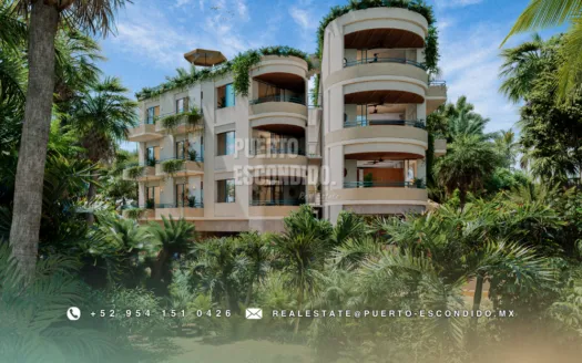 Premium Ocean View Apartments