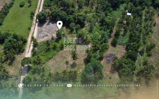 Coastal Land Investment Opportunity in El Tomatal