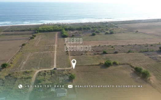 Ocean View 276m2 in El Rosedal